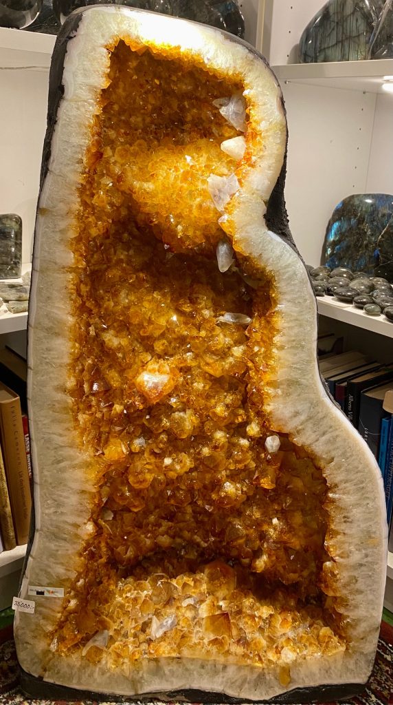 Citringrotta (66,84kg)