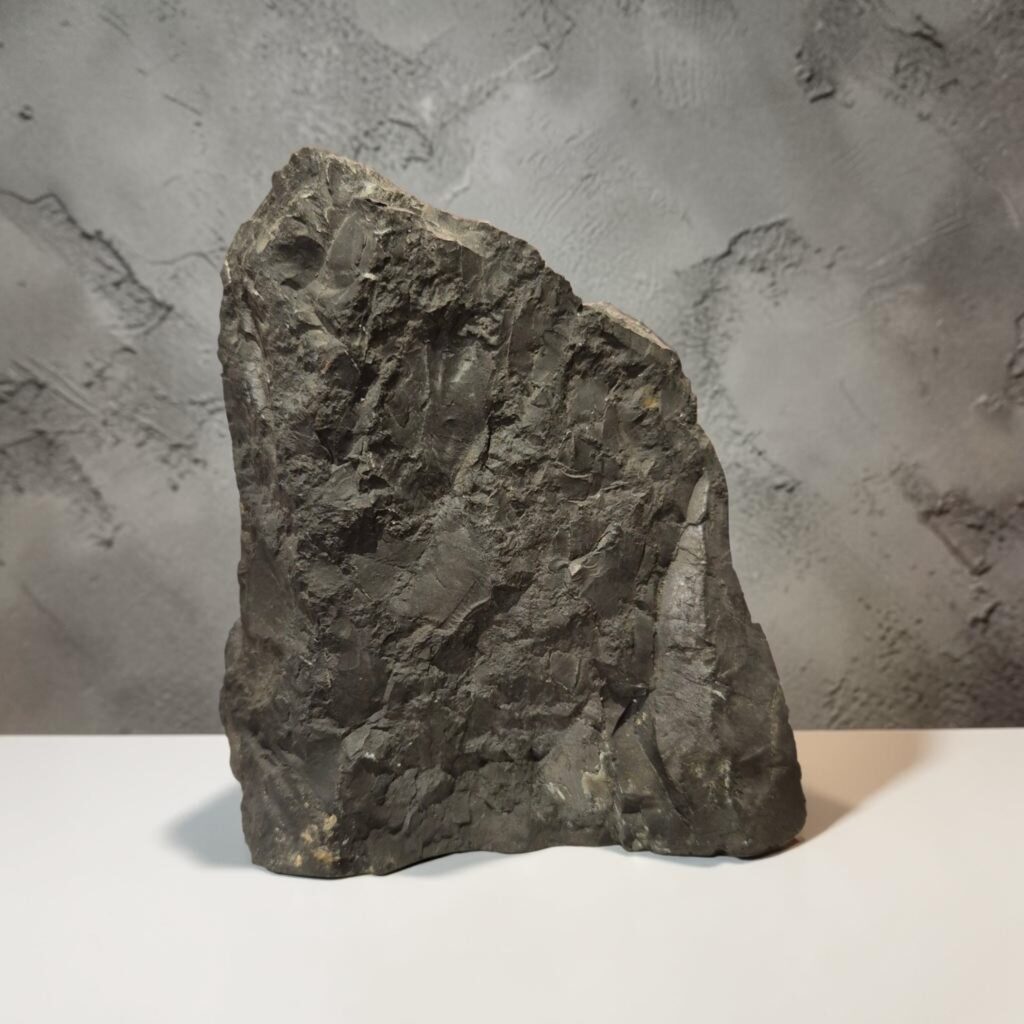 Shungit rå (basecut)