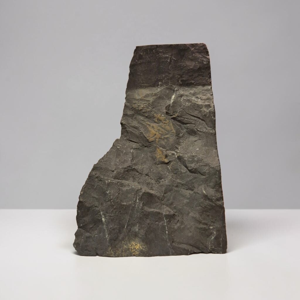 Shungit rå (basecut) (
